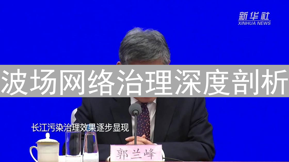波场网络治理深度剖析：投票机制与社区参与