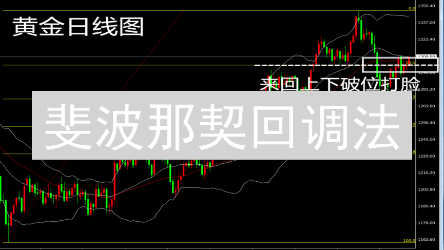 斐波那契回调法：穿越市场波动的神秘指南