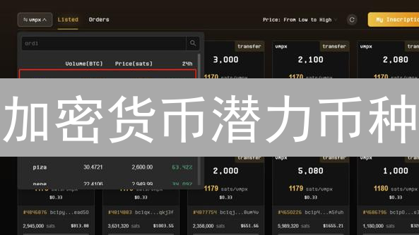 加密货币潜力币种：欧意视角下的市场展望