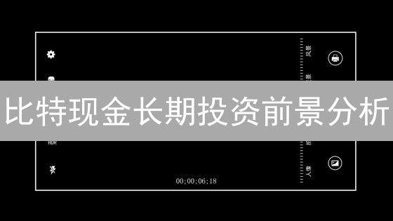 比特现金长期投资前景分析：技术、经济与市场多维评估
