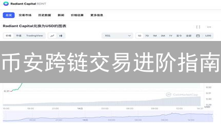 币安跨链交易进阶指南：无缝转移资产