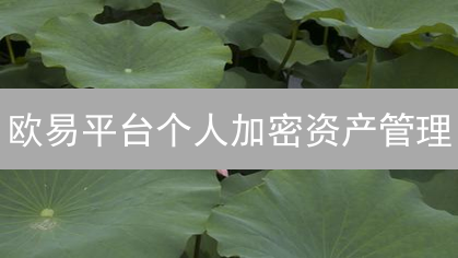 欧易平台个人加密资产管理：风险控制与收益最大化