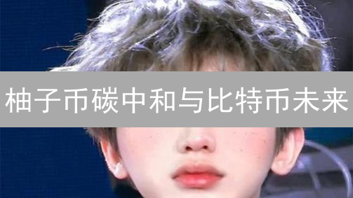 柚子币碳中和与比特币未来：能源消耗与可持续发展