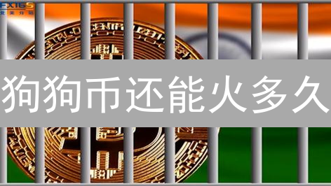 狗狗币还能火多久？监管风暴下，它的未来在哪？