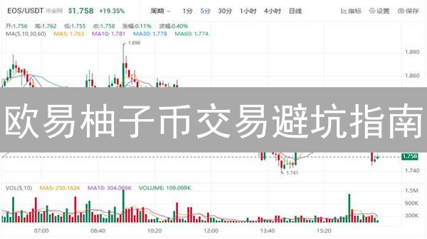 欧易柚子币交易避坑指南：新手必看五大风险与应对策略