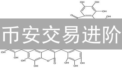 币安交易进阶：订单类型全解析，稳赚不赔？