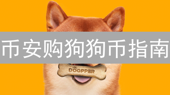 币安购狗狗币指南：安全保障与避坑策略，新手必看！