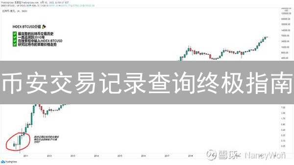 币安交易记录查询终极指南：一键导出，告别税务申报难题！