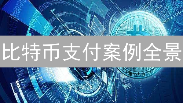 比特币支付案例全景：颠覆传统，未来已来？