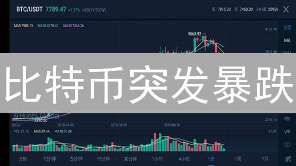 比特币突发暴跌？专家紧急解读！抓住抄底机会？