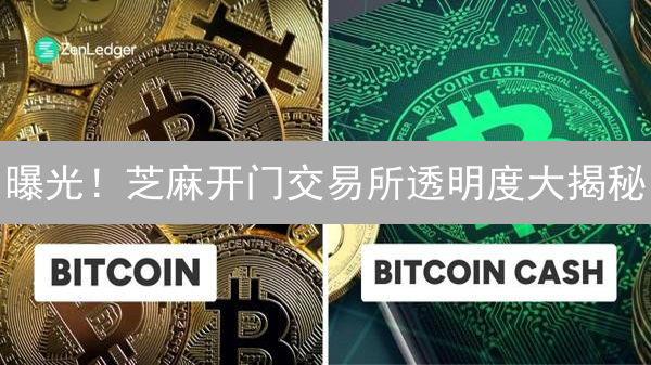 曝光！芝麻开门交易所透明度大揭秘：你必须知道的内幕！