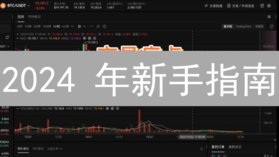 2024 年新手指南：一文读懂狗狗币链上交易机制！