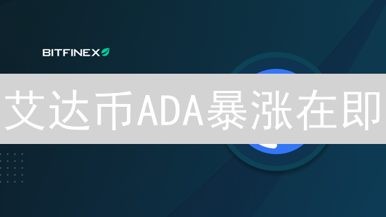 艾达币ADA暴涨在即？Bitfinex交易深度深度剖析！