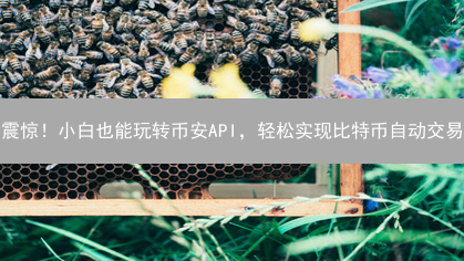 震惊！小白也能玩转币安API，轻松实现比特币自动交易？