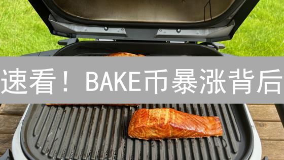 速看！BAKE币暴涨背后：颠覆你认知的BSC链DEX掘金秘籍！