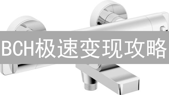 BCH极速变现攻略：5招教你抓住市场机遇！