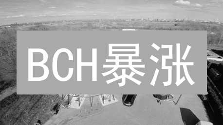 BCH暴涨？OKX比特现金购买攻略：新手也能轻松上手！