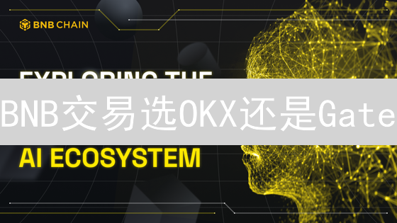 BNB交易选OKX还是Gate？深度对比分析，避坑指南！