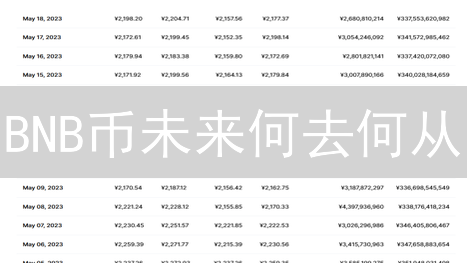 BNB币未来何去何从？深度解析币安币投资策略与风险！