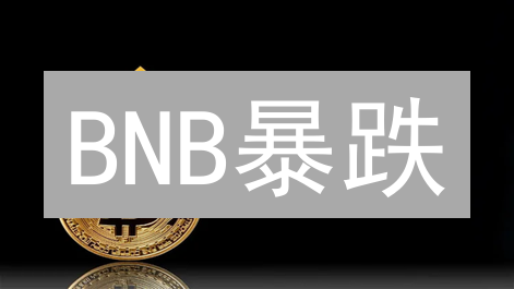 BNB暴跌？深度解析币安币未来走势！(附投资策略)