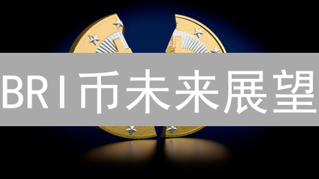 BRI币未来展望：深度剖析五大关键因素！投资机会？