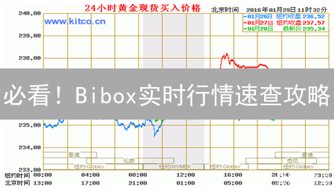 必看！Bibox实时行情速查攻略：掌握币圈脉搏？