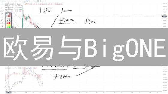 欧易与BigONE：交易所如何管控比特币风险？策略分析