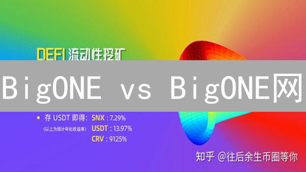 BigONE vs BigONE网：莱特币交易，谁是你的菜？【深度评测】