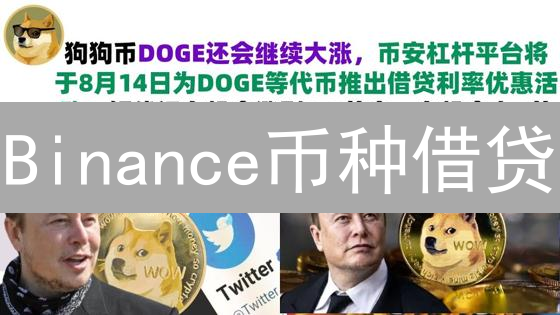 Binance币种借贷：加密货币投资策略与运作机制详解