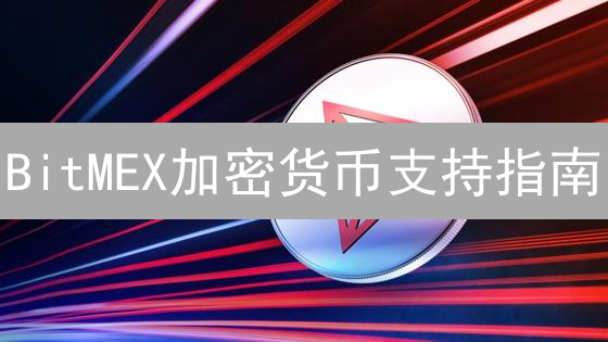 BitMEX加密货币支持指南：交易币种与合约详解