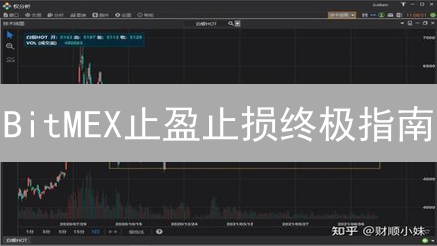 BitMEX止盈止损终极指南：告别爆仓，稳健盈利！