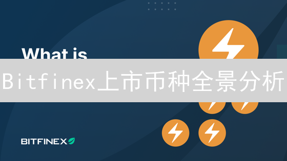 Bitfinex上市币种全景分析：主流币、稳定币与DeFi代币