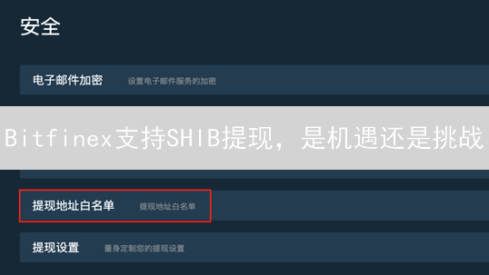 Bitfinex支持SHIB提现，是机遇还是挑战？三大影响揭秘！