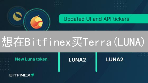 想在Bitfinex买Terra(LUNA)？看这篇就够了！（2024最新教程）