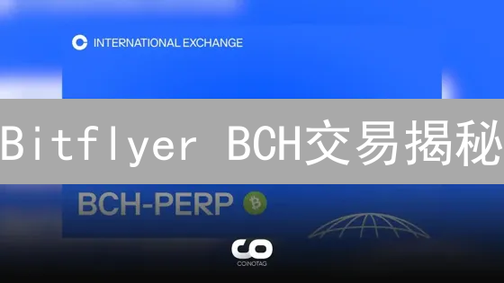 Bitflyer BCH交易揭秘：新手也能轻松玩转？