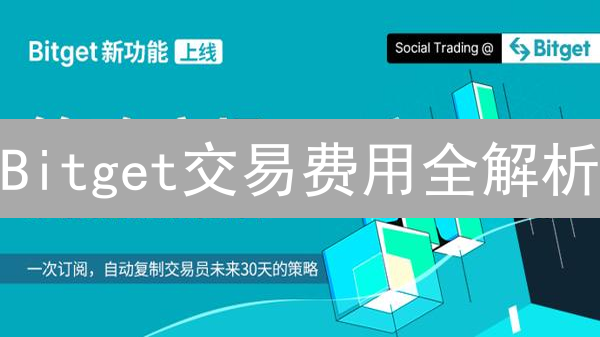 Bitget交易费用全解析：省钱攻略与VIP秘籍！