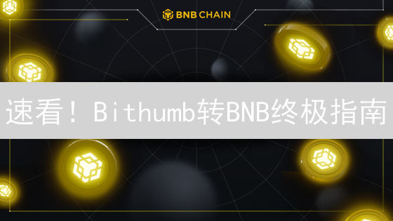 速看！Bithumb转BNB终极指南：避坑秘籍助你轻松搞定！