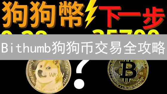 Bithumb狗狗币交易全攻略：规则、费用、风险与技巧！