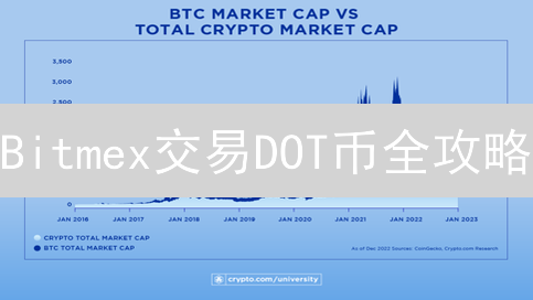 Bitmex交易DOT币全攻略：高杠杆合约，新手必看！