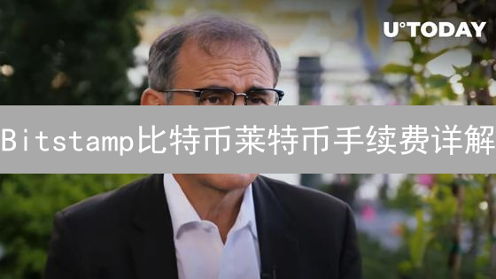 Bitstamp比特币莱特币手续费详解：优化交易策略