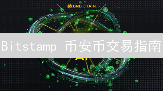 Bitstamp 币安币交易指南：现在入场晚了吗？