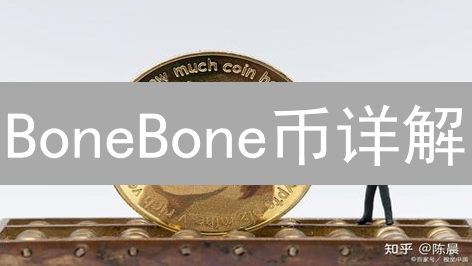 BoneBone币详解：起源、理念、技术特性与应用场景分析