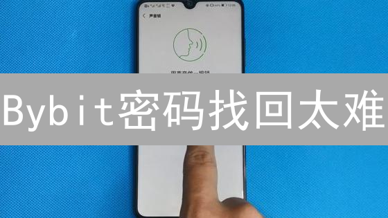 Bybit密码找回太难？邮件重置攻略，一键解锁账户！