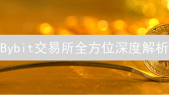 Bybit交易所全方位深度解析：新手也能轻松上手？