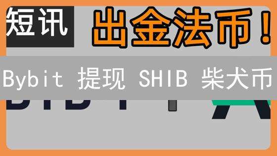 Bybit 提现 SHIB 柴犬币？新手必看安全指南！