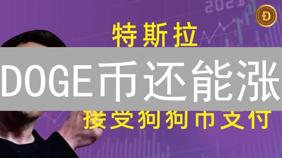 DOGE币还能涨？2024年深度解析：机遇与风险并存！