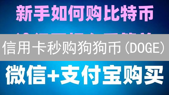信用卡秒购狗狗币(DOGE)：币安手续费优化秘籍！