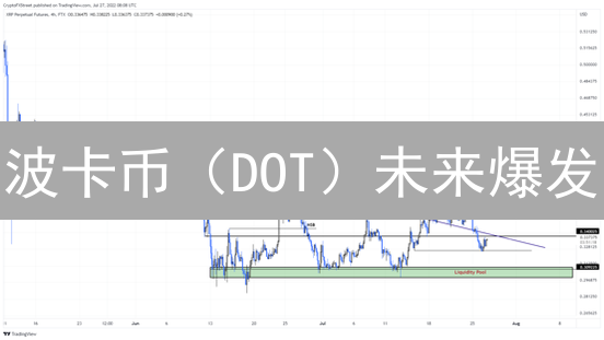 波卡币（DOT）未来爆发？2024年投资潜力深度解析！