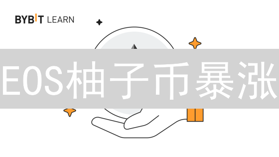 EOS柚子币暴涨？Bybit新手购买指南，5分钟上手！