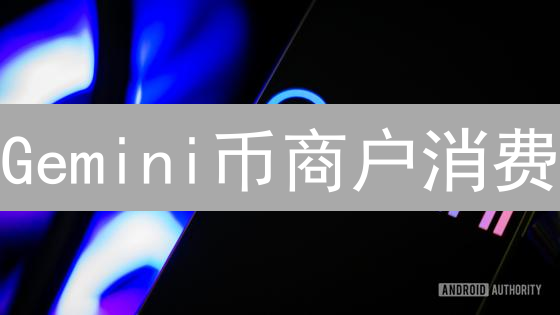Gemini币商户消费：加密支付新纪元的探索与实践